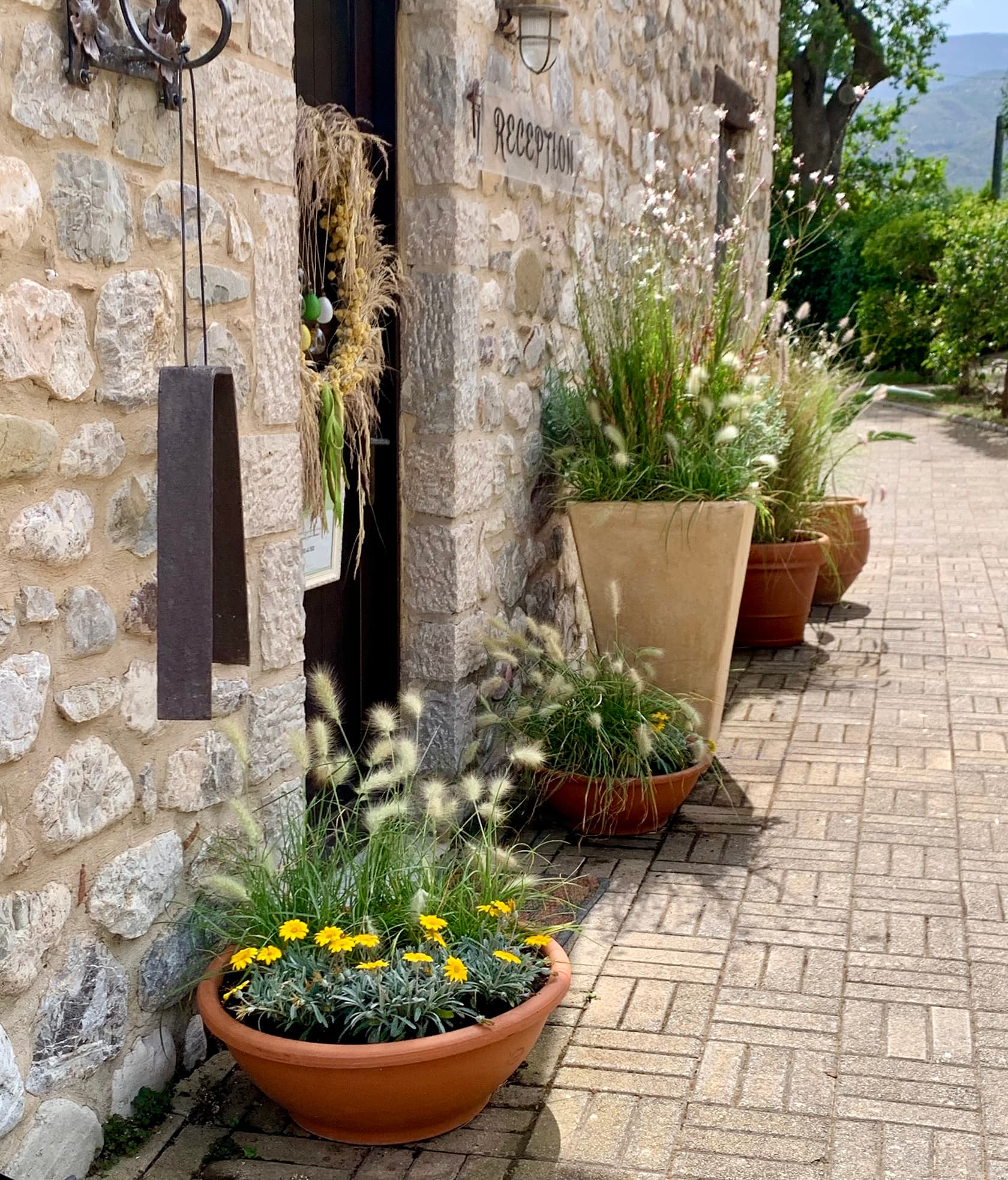 Container Planting Design for a Monastery-Style Hotel Reception, Peloponnese