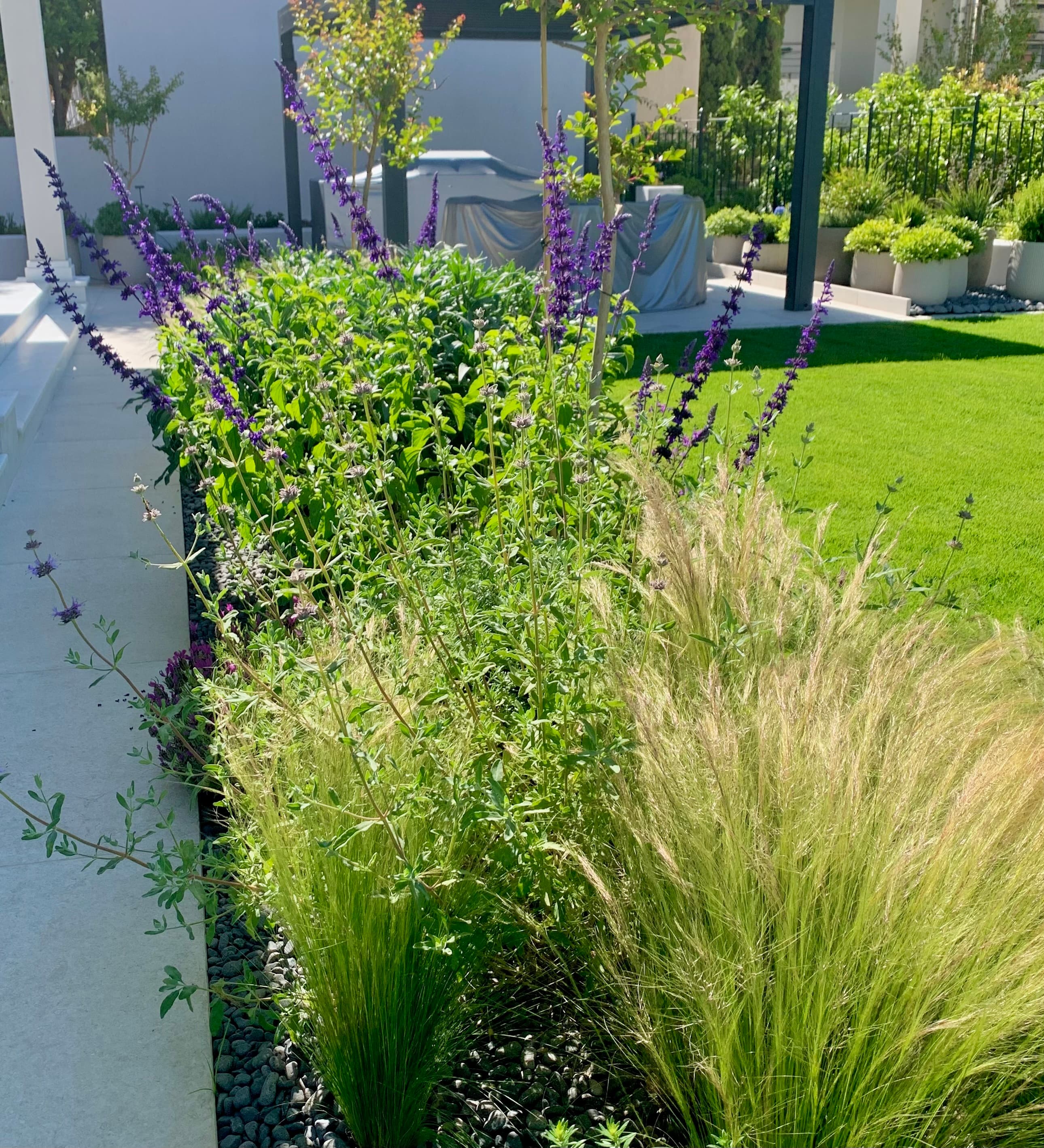 Family garden in Glyfada. Project realization.