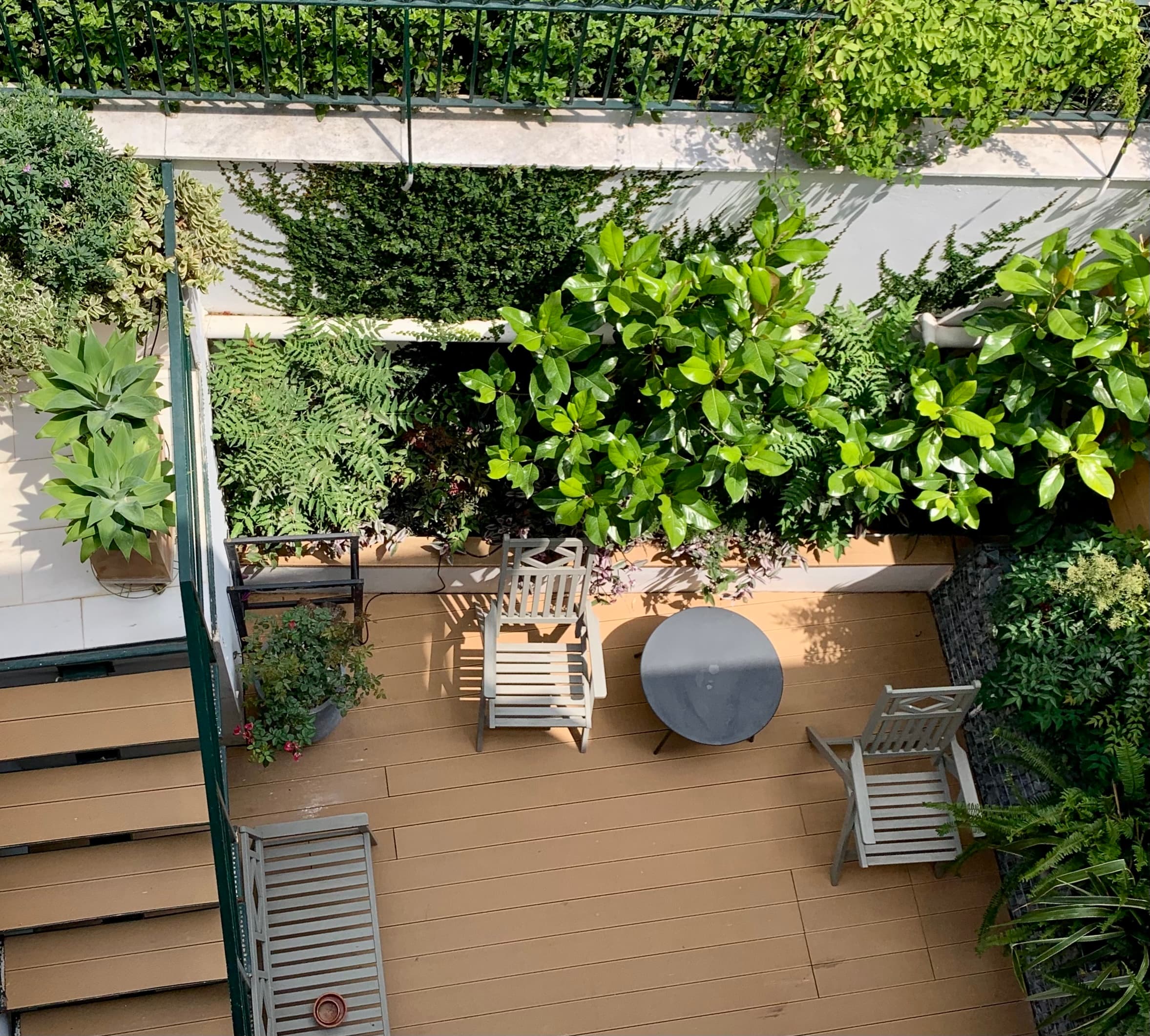 Part of a Four-Level Planting Design Project for a Townhouse in Kifisia